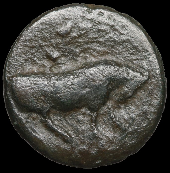 Sicilien Gela Tetras or Trionkion c 420-405 BC  (Ingen mindstepris)