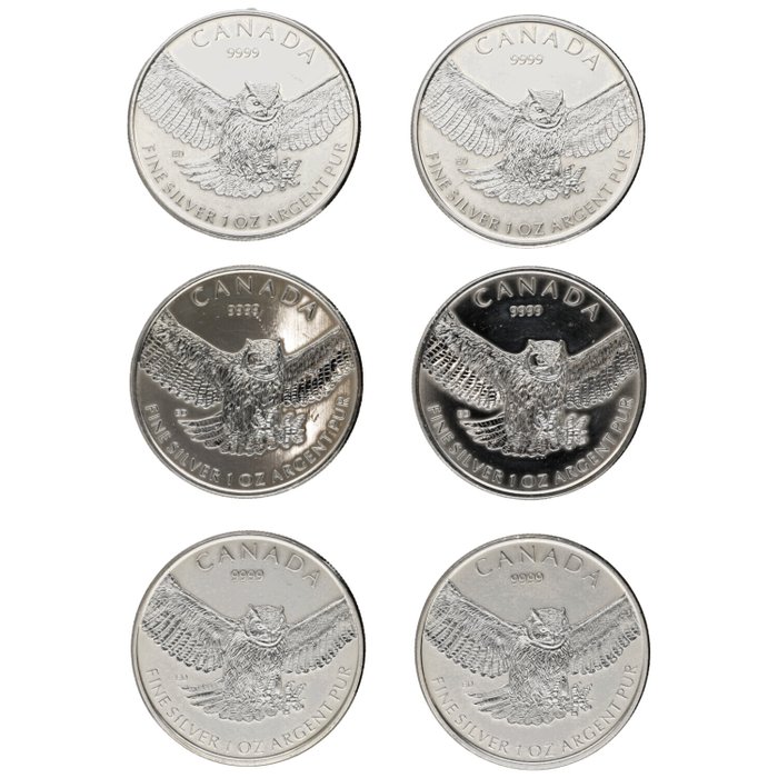 Canada. 5 Dollars 2015 "Birds of Prey", 6x1 Oz (.999)