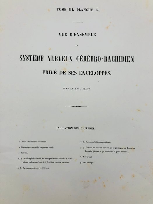 Undervisningsmaterialer - Nicolas-Henri Jacob  Jean Baptiste Marc Bourgery - traité d'anatomie de l'homme 1881 - Papir - 1850-1900 - Tredobbelt gravering