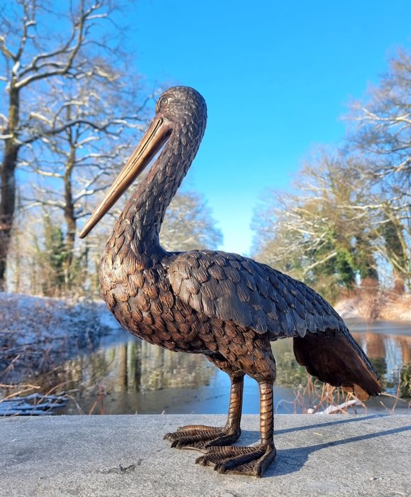 Skulptur, Lifelike Pelican - 54 cm - Bronze