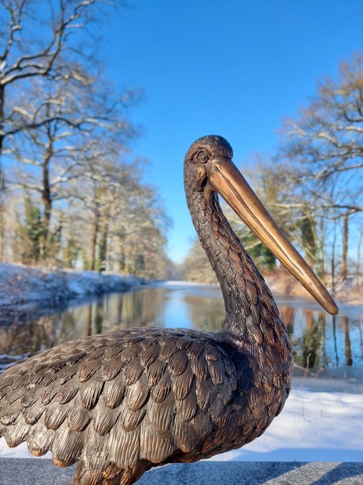 Skulptur, Lifelike Pelican - 54 cm - Bronze