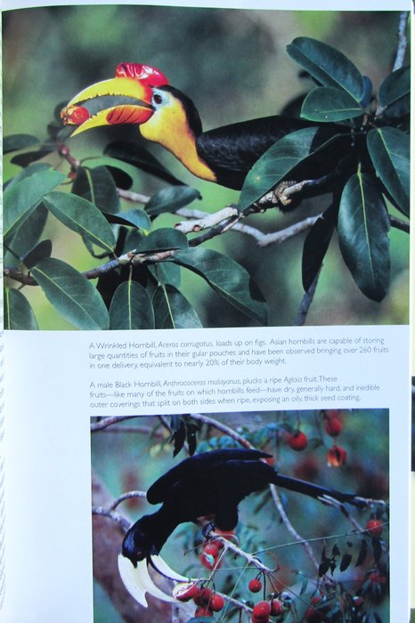 Margaret F. Kinnaird  Timothy G. O'Brien - The Ecology and Conservation of Asian Hornbills: Farmers of the Forest - 2007