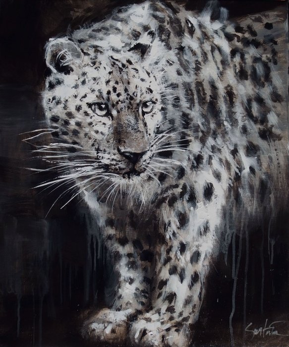 Ewa Switala - Leopard