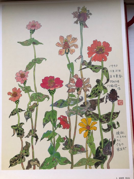 Shunichi Kadowaki - 100 plants and flowers (100 loose plates) - 1993