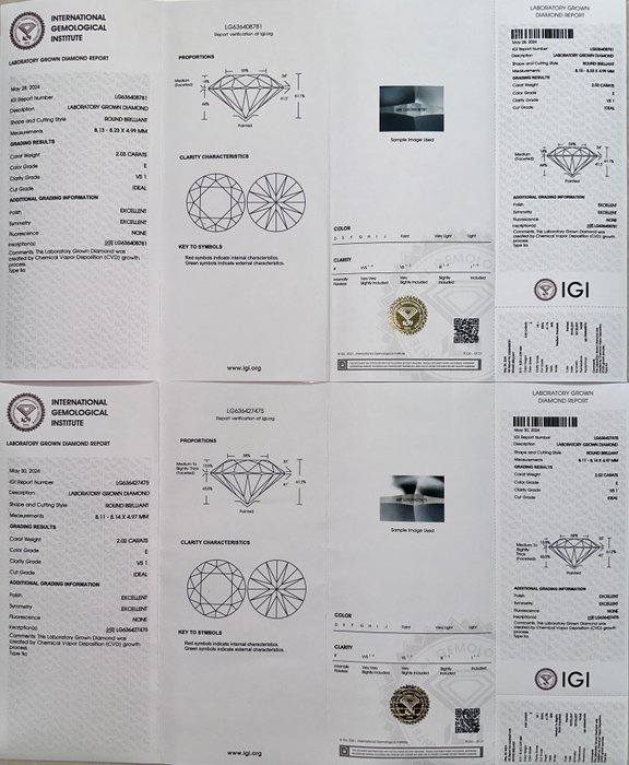 Øreringe Platin -  4.05ct. tw. Diamant (Laboratoriedyrket) - E, VS1