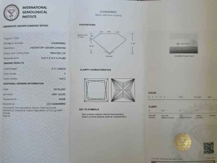 Ring Platin -  4.01ct. tw. Diamant (Laboratoriedyrket) - Diamant - F, VVS2