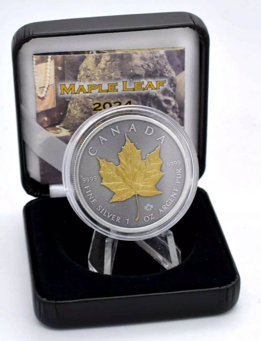 Canada 5 Dollars 2024 Maple Leaf - Gold Treasure Edition 1 Oz (999)  (Ingen mindstepris)