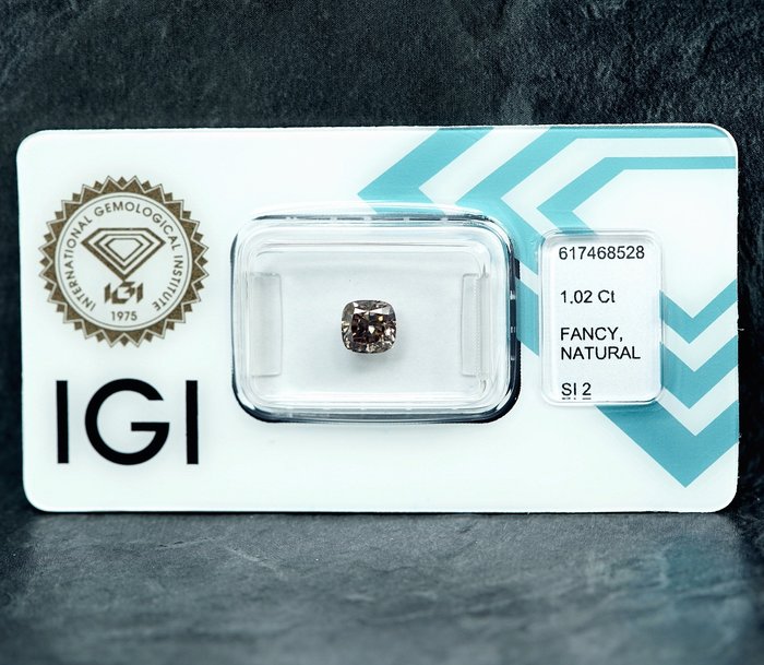 1 pcs Diamant  (Naturfarvet)  - 1.02 ct - Fancy Grålig Gul - SI2 - International Gemological Institute (IGI)