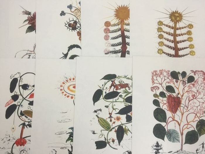 Salvador Dali (1904-1989) - 10 lithographs from the Flordalí series. Flowers