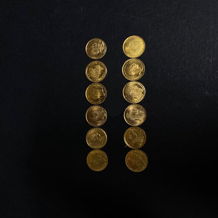 Verden. “Smallest World Gold Coins” (12 pieces)  (Ingen mindstepris)