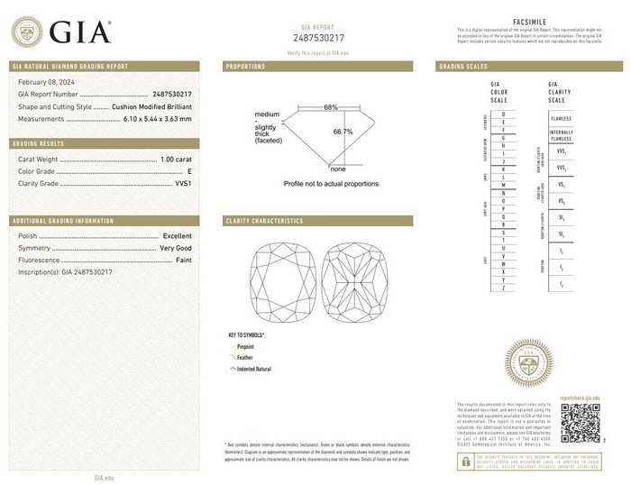 Ingen mindstepris - 1 pcs Diamant  (Natur)  - 1.00 ct - Pude - E - VVS1 - Gemological Institute of America (GIA) - Fantastisk diamant