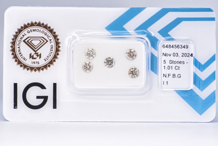 Ingen mindstepris - 5 pcs Diamant  (Naturfarvet)  - 1.01 ct - Rund - Fancy Brunlig Grå - I1 - International Gemological Institute (IGI)