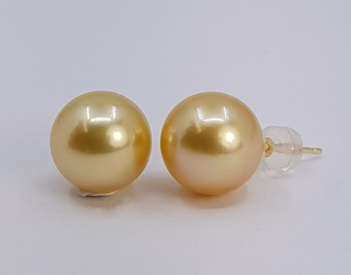 Øreringe - 14 karat Gulguld - 10x11mm South Sea Pearls