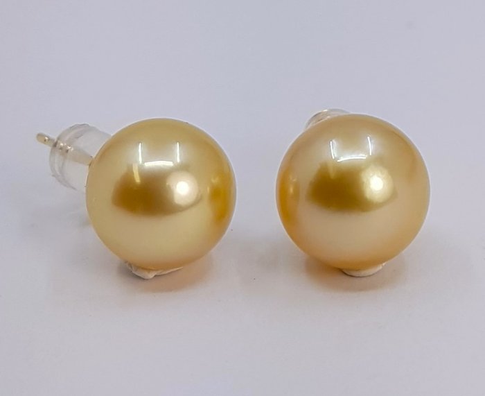 Øreringe - 14 karat Gulguld - 10x11mm South Sea Pearls