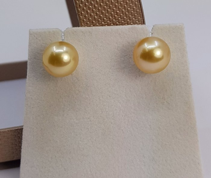 Øreringe - 14 karat Gulguld - 10x11mm South Sea Pearls