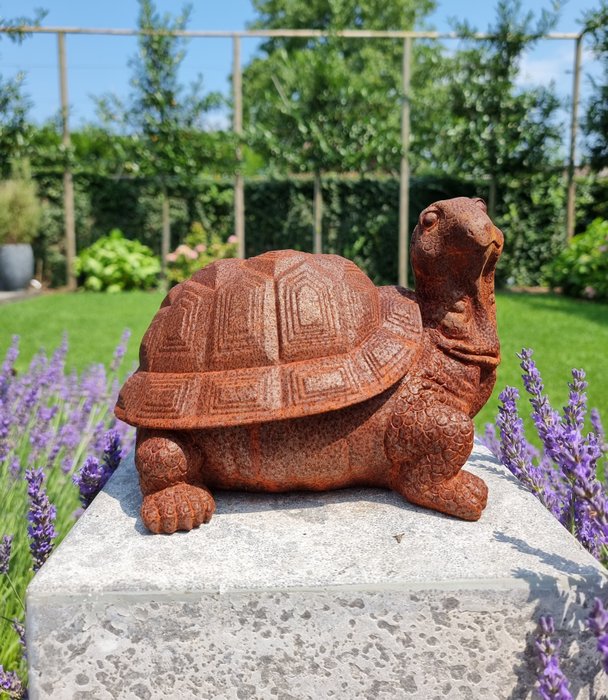 Statuette - Turtle - Jern