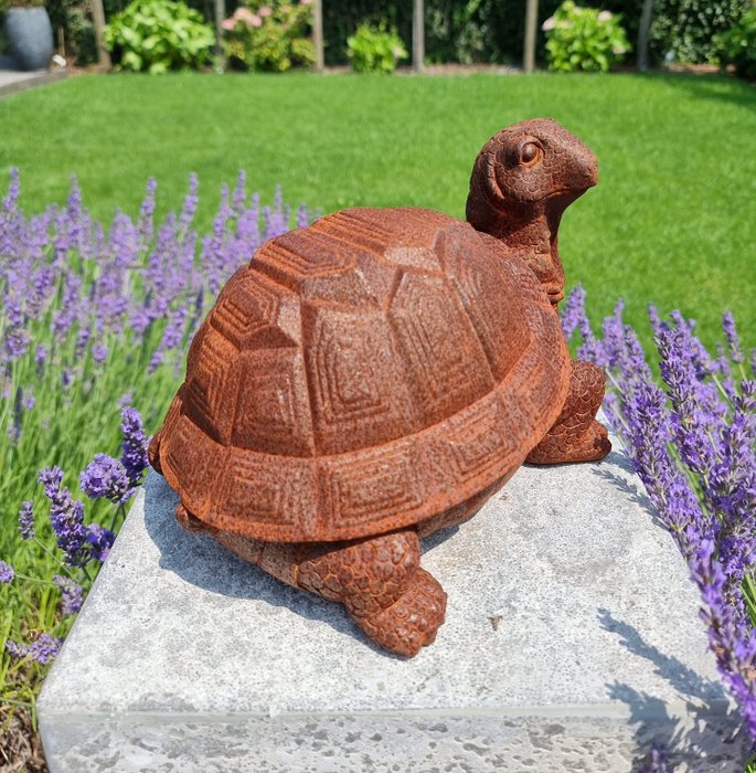 Statuette - Turtle - Jern