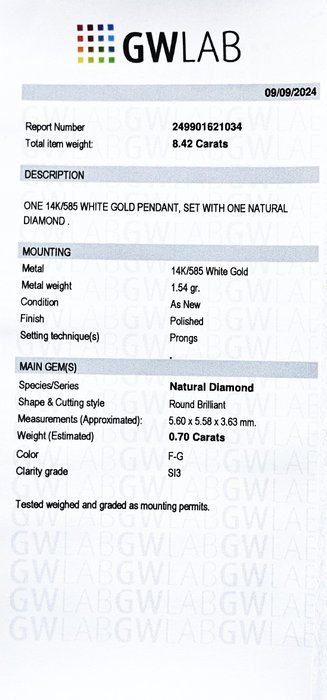 Halskæde med vedhæng - 14 karat Hvidguld -  0.70ct. tw. Diamant (Natur)