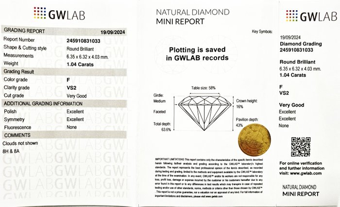 1 pcs Diamant  (Natur)  - 1.04 ct - Rund - F - VS2 - Gemewizard Gemological Laboratory (GWLab)