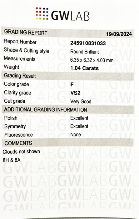 1 pcs Diamant  (Natur)  - 1.04 ct - Rund - F - VS2 - Gemewizard Gemological Laboratory (GWLab)