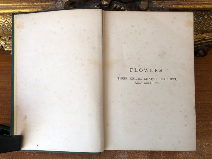 J. E. Taylor - Sowerby. - Flowers; Their origin, shapes, perfumes  colour - 1890