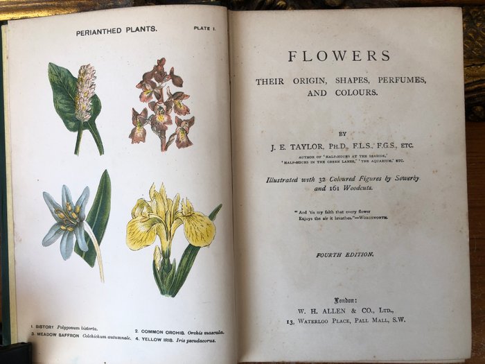 J. E. Taylor - Sowerby. - Flowers; Their origin, shapes, perfumes  colour - 1890