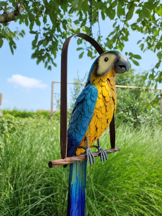 Papegaai op schommel - Statuette - Parrot on Swing - Metal