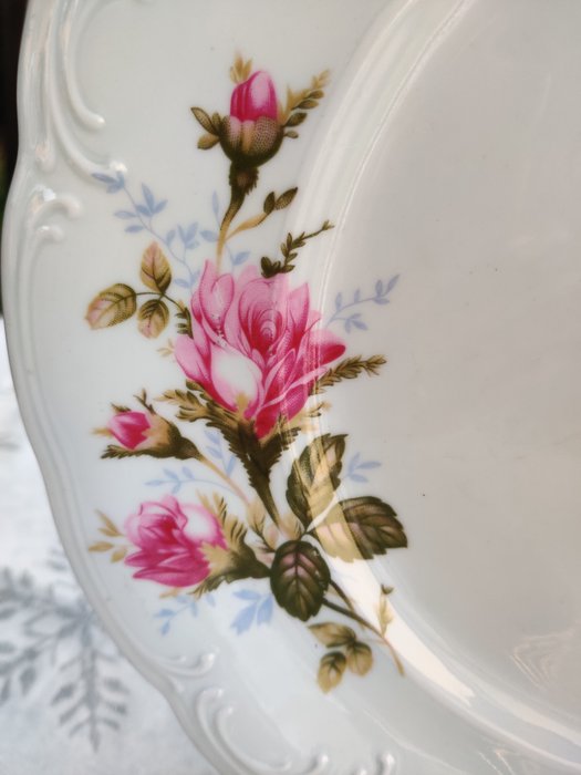 Tielsch/Walbrzych - Bordservice til 6 (20) - Pompadour Rose - Porcelæn