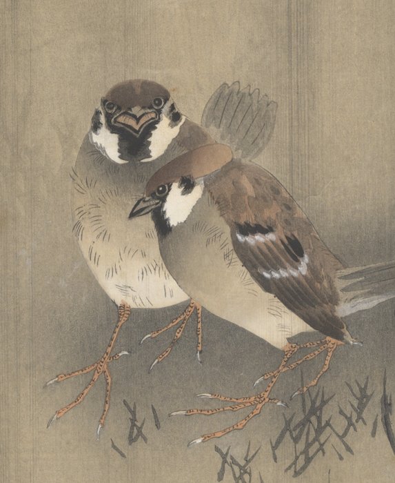 'Two Sparrows in a Rain Shower' - Koson Ohara (1877-1945) - Japan