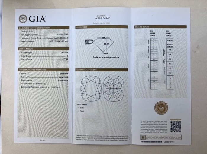 1 pcs Diamant  (Natur)  - 1.01 ct - Pude - D (farveløs) - VVS2 - Gemological Institute of America (GIA)