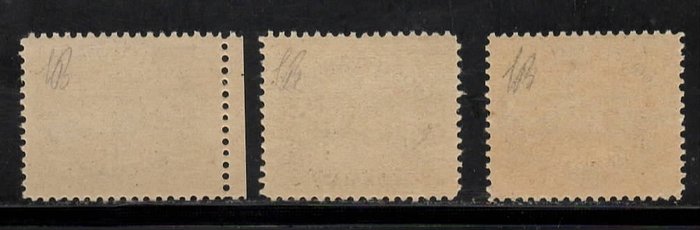 Vatikanstaten 1946 - Skat poststempler brede linjer gråt papir i fremragende stand MNH - Sassone N 14I 16/I 18/I