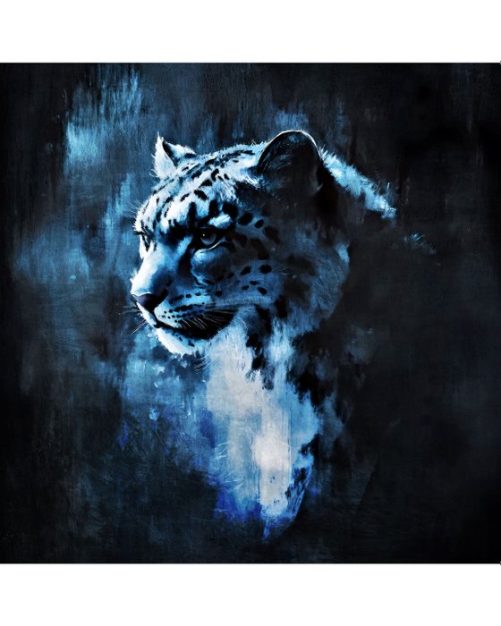 Wysocky John - Snow Leopard from the Blue