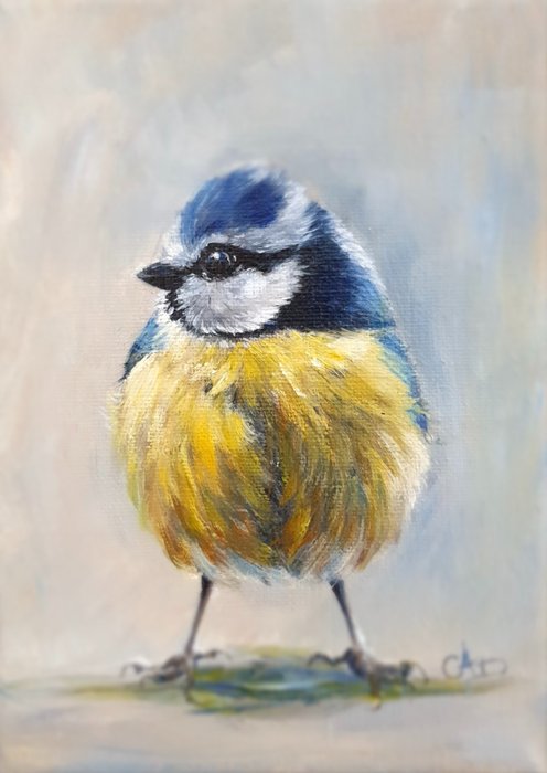 Corine DR-ST (XXI) - Pimpelmeesje, Blue tit