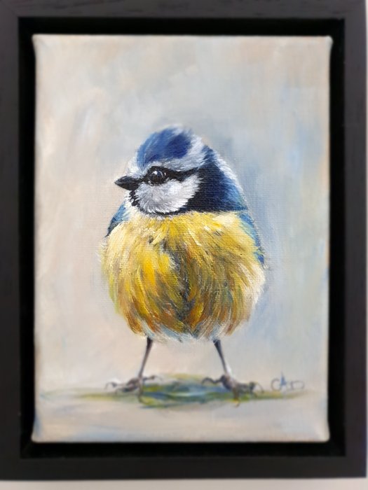 Corine DR-ST (XXI) - Pimpelmeesje, Blue tit