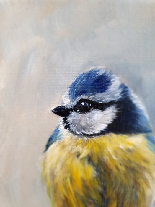 Corine DR-ST (XXI) - Pimpelmeesje, Blue tit