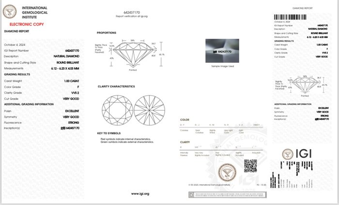 Ingen mindstepris - 1 pcs Diamant  (Natur)  - 1.00 ct - Rund - F - VVS2 - International Gemological Institute (IGI)