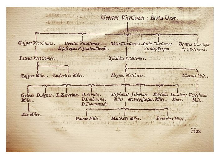 Sitoni Di Scozia Giovanni - Vicecomitum Burgi Ratti Marchionum Castri Spinae, Brignani et Pagatiani feudatariorum genealogica - 1714