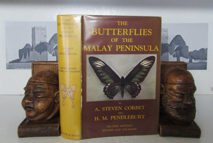 A. Steven Corbet and H. M. Pendlebury - The Butterflies of the Malay Peninsula - 1956