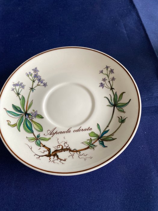 Villeroy  Boch - Kop og underkop (6) - Espresso - Porcelæn - espressokopper og underkopper