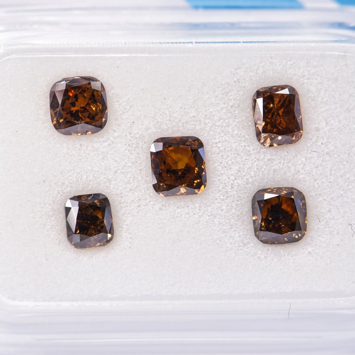 Ingen mindstepris - 5 pcs Diamant  (Naturfarvet)  - 1.10 ct - Pude - Fancy dark, Fancy deep Brun Gul - SI1, VS2 - International Gemological Institute (IGI)