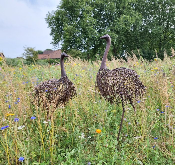 Statuette - Koppel struisvogels - Jern