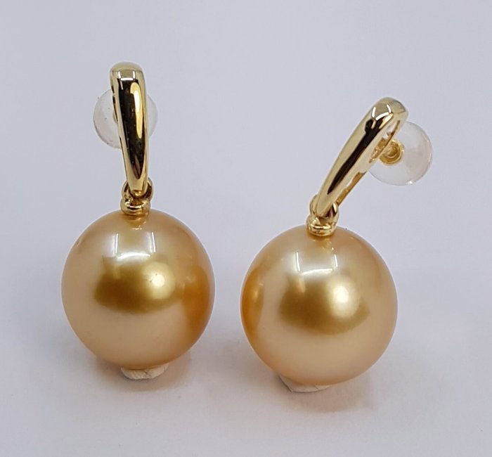 Øreringe - 14 karat Gulguld - 11x12mm South Sea Pearls