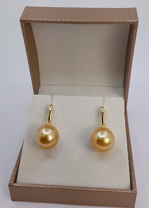 Øreringe - 14 karat Gulguld - 11x12mm South Sea Pearls