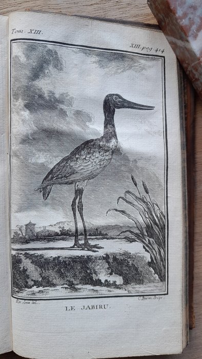 Buffon - Histoire naturelle : Les oiseaux / Histoire de l'homme / Volume général des tables ( noms - 1769-1770