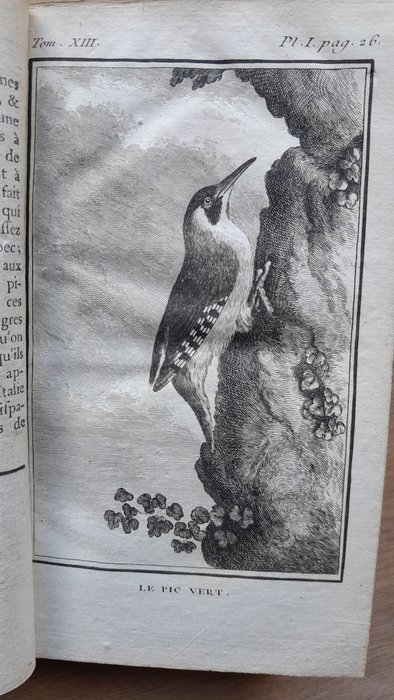 Buffon - Histoire naturelle : Les oiseaux / Histoire de l'homme / Volume général des tables ( noms - 1769-1770