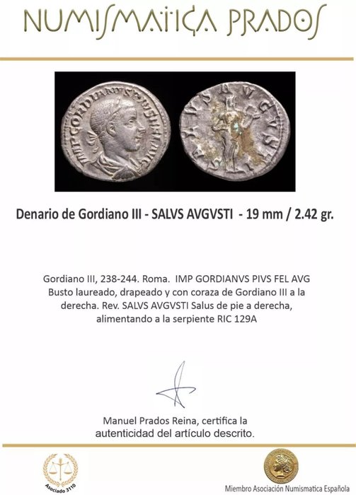 Romarriket. Gordian III (AD 238-244). Denarius Roma - SALVS AVGVSTI  (Ingen mindstepris)