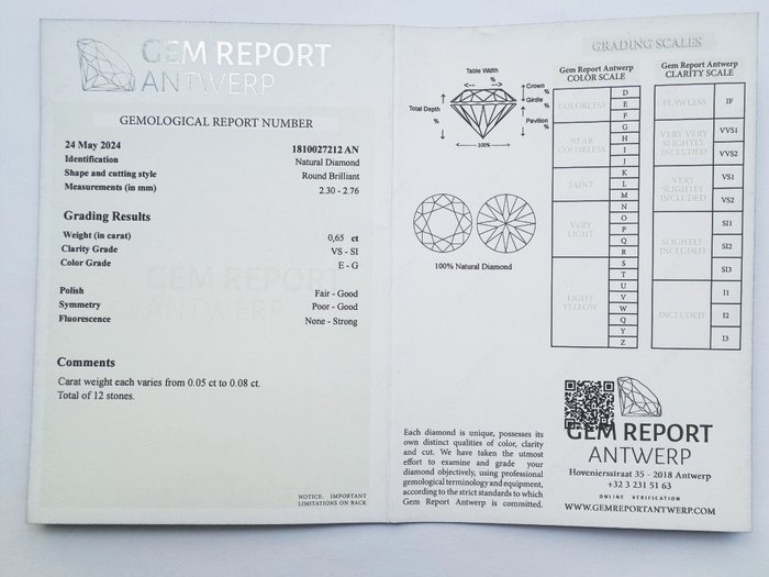 Ingen mindstepris - 12 pcs Diamant  (Natur)  - 0.65 ct - Rund - E, G - SI1, SI2, VS1, VS2 - Gem Report Antwerp (GRA)