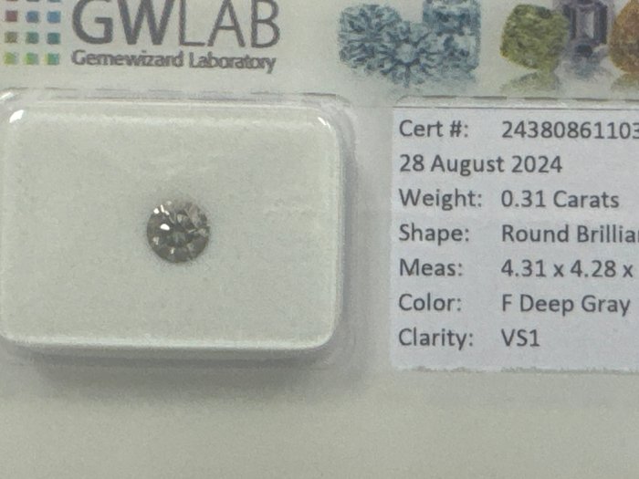 Ingen mindstepris - 1 pcs Diamant  (Naturfarvet)  - 031 ct - Rund - Fancy deep Grå - VS1 - Gemewizard Gemological Laboratory (GWLab)