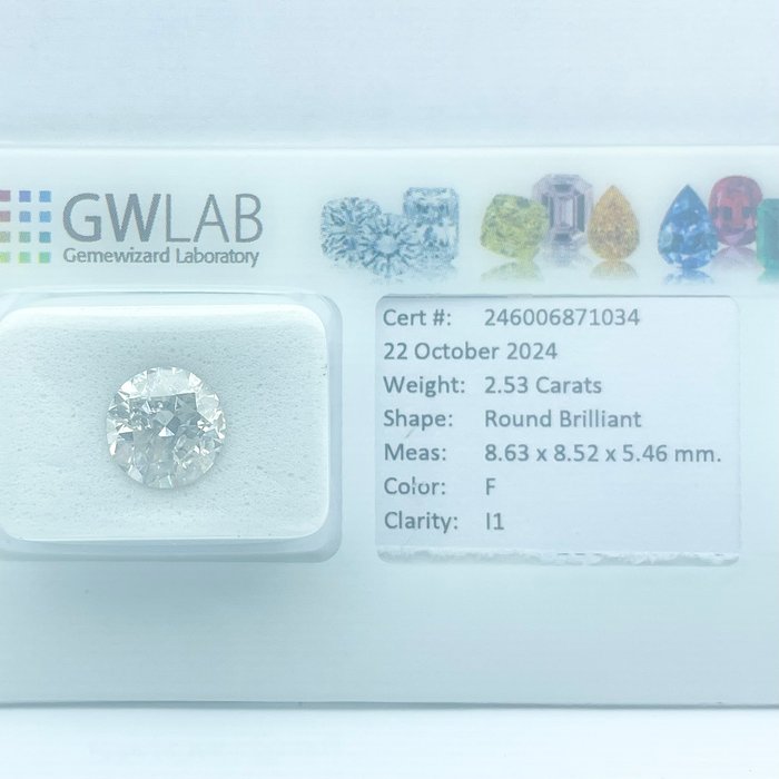 Ingen mindstepris - 1 pcs Diamant  (Natur)  - 2.53 ct - Rund - F - I1 - Gemewizard Gemological Laboratory (GWLab)