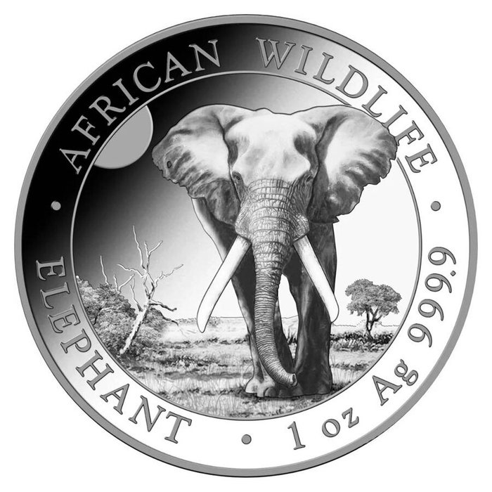 Somalia. 5 x 1 oz 2025 African Wildlife – Elephant Silver Coin BU